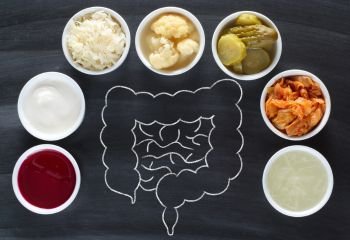 O papel dos probióticos e prebióticos na saúde intestinal e no desempenho esportivo